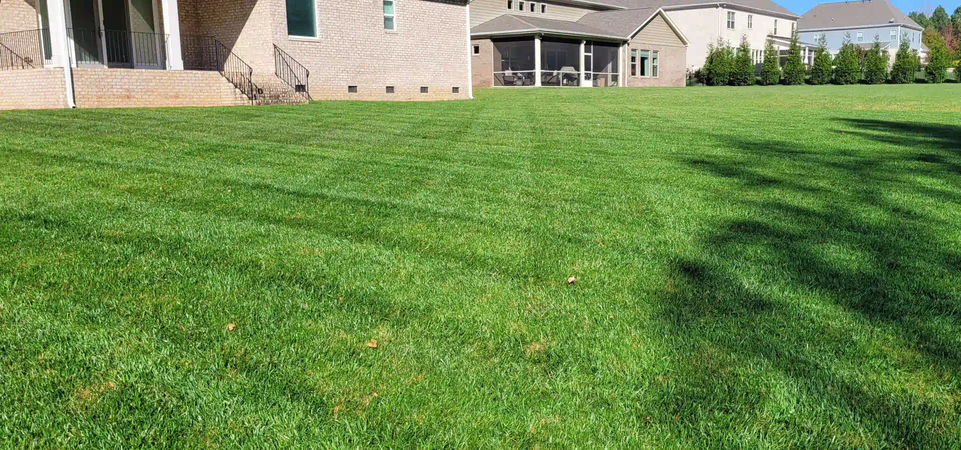 a newly installed sod