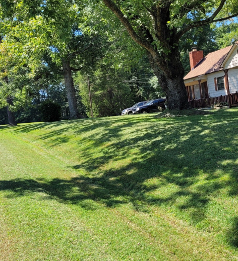 a recently serviced village lawn