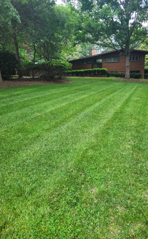 an angular view of a recently serviced lawn