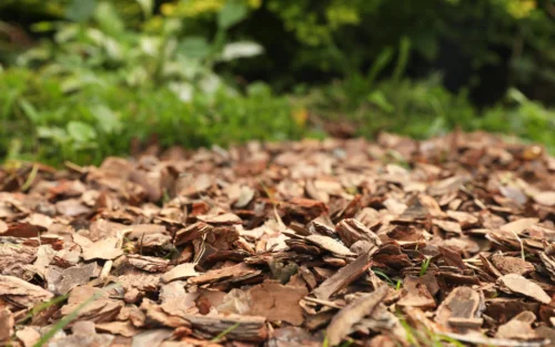 mulch